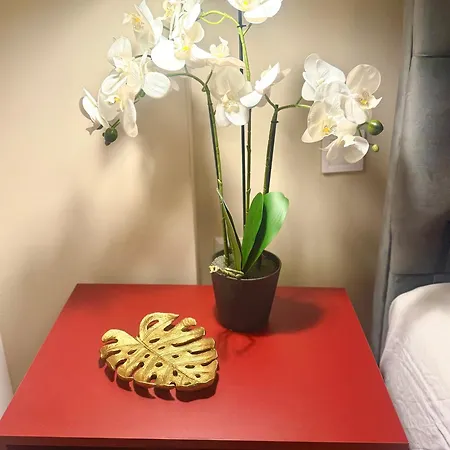 Appartement Luxury In The Heart Of *